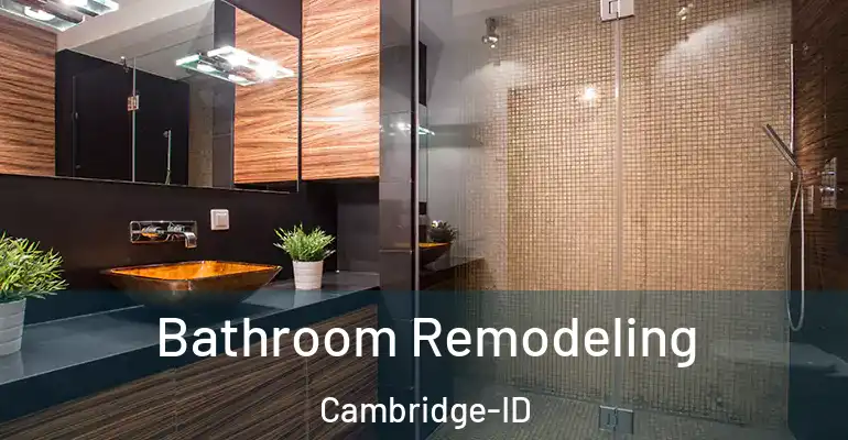 inner Bathroom imggen Bathroom Remodeling Cambridge-ID