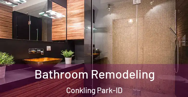 inner Bathroom imggen Bathroom Remodeling Conkling Park-ID