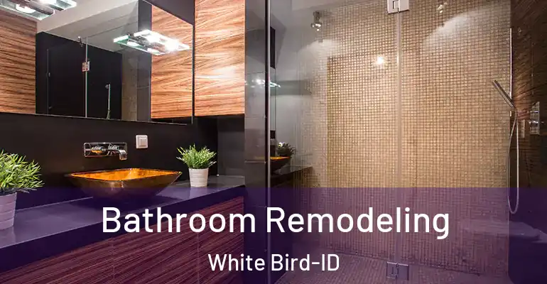 inner Bathroom imggen Bathroom Remodeling White Bird-ID