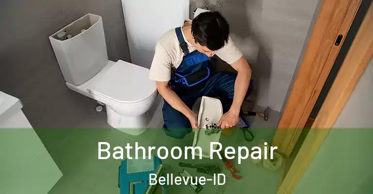 inner Bathroom imggen Bathroom Repair Bellevue-ID