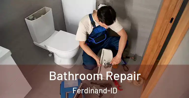 inner Bathroom imggen Bathroom Repair Ferdinand-ID