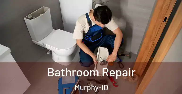inner Bathroom imggen Bathroom Repair Murphy-ID