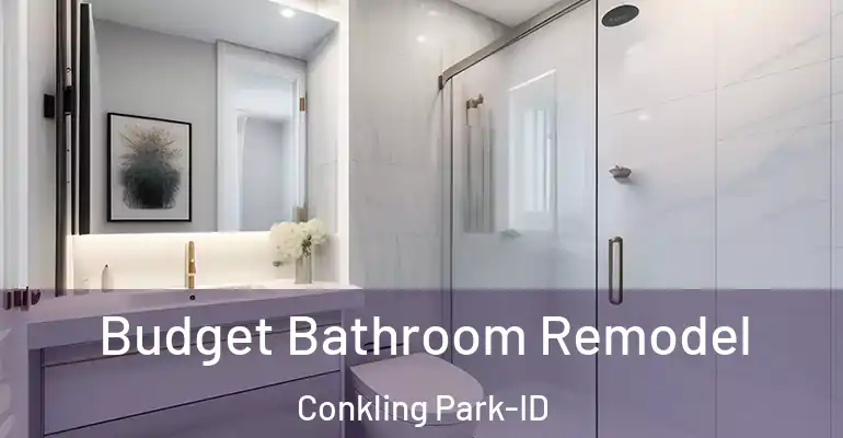 inner Bathroom imggen Budget Bathroom Remodel Conkling Park-ID