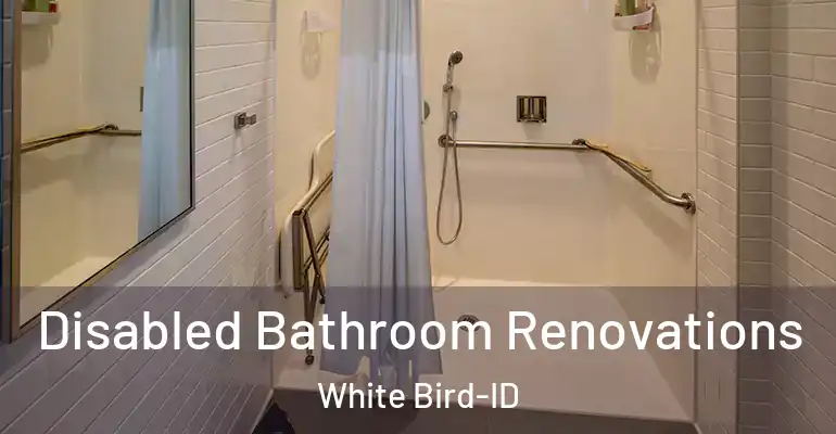 inner Bathroom imggen Disabled Bathroom Renovations White Bird-ID