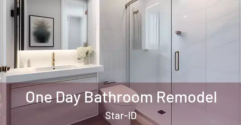 inner Bathroom imggen One Day Bathroom Remodel Star-ID