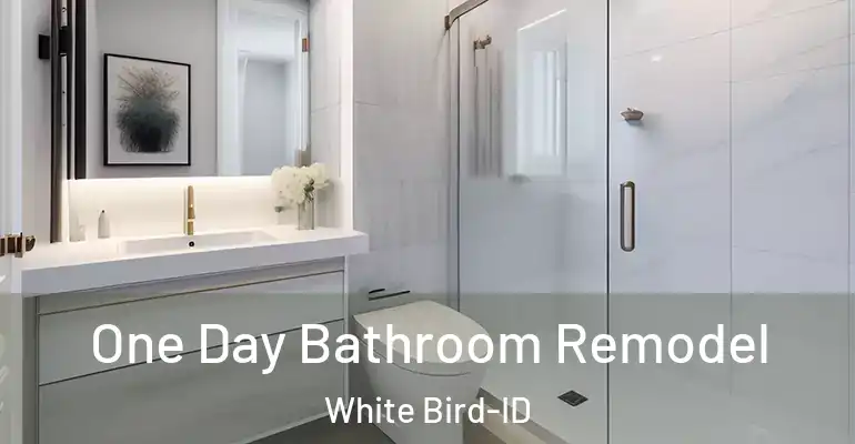 inner Bathroom imggen One Day Bathroom Remodel White Bird-ID