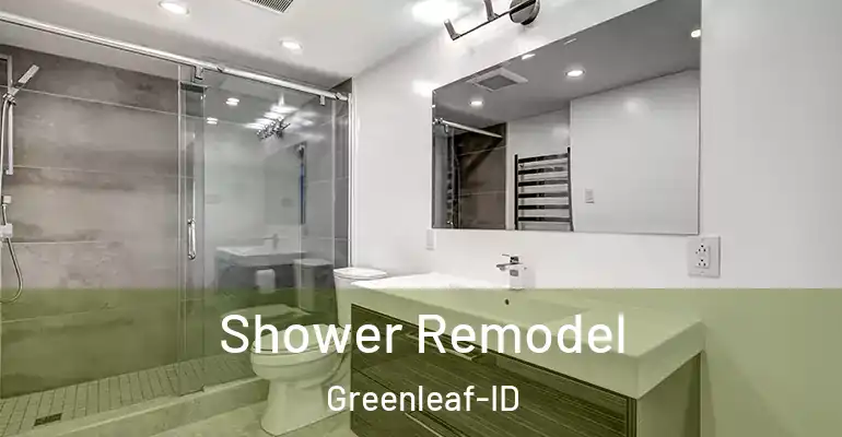 inner Bathroom imggen Shower Remodel Greenleaf-ID