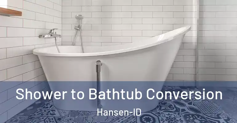 inner Bathroom imggen Shower to Bathtub Conversion Hansen-ID