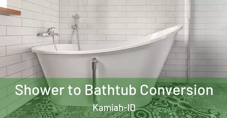 inner Bathroom imggen Shower to Bathtub Conversion Kamiah-ID