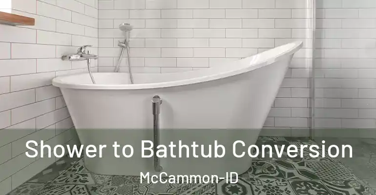 inner Bathroom imggen Shower to Bathtub Conversion McCammon-ID