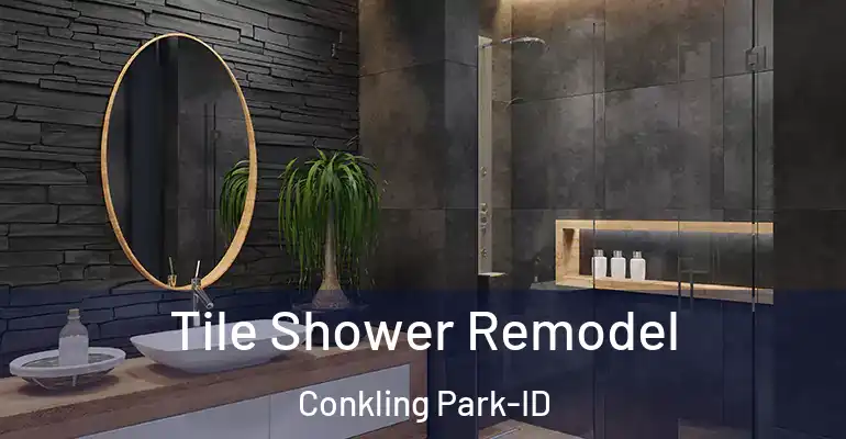 inner Bathroom imggen Tile Shower Remodel Conkling Park-ID