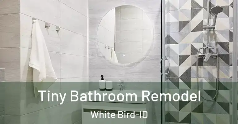 inner Bathroom imggen Tiny Bathroom Remodel White Bird-ID