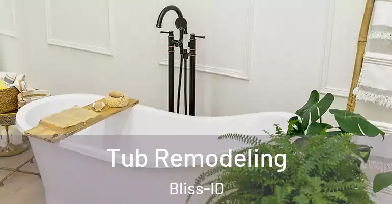 inner Bathroom imggen Tub Remodeling Bliss-ID
