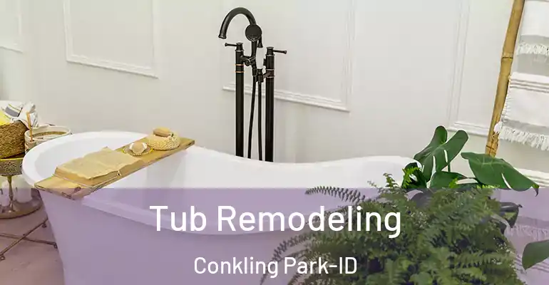 inner Bathroom imggen Tub Remodeling Conkling Park-ID