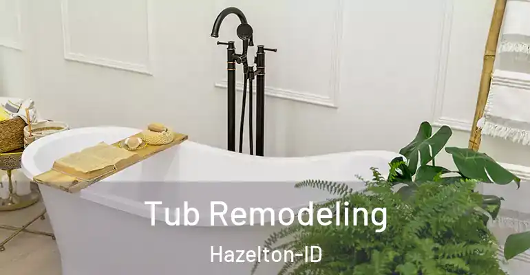 inner Bathroom imggen Tub Remodeling Hazelton-ID