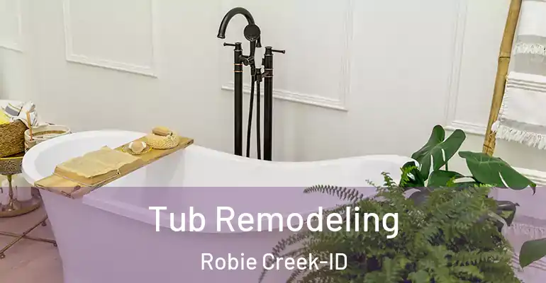 inner Bathroom imggen Tub Remodeling Robie Creek-ID