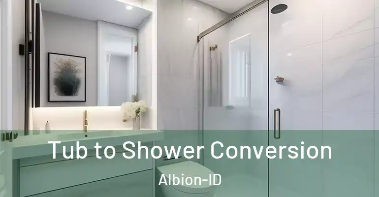 inner Bathroom imggen Tub to Shower Conversion Albion-ID