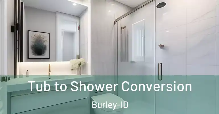 inner Bathroom imggen Tub to Shower Conversion Burley-ID