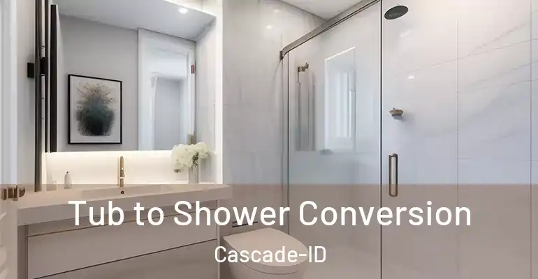 inner Bathroom imggen Tub to Shower Conversion Cascade-ID