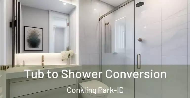 inner Bathroom imggen Tub to Shower Conversion Conkling Park-ID