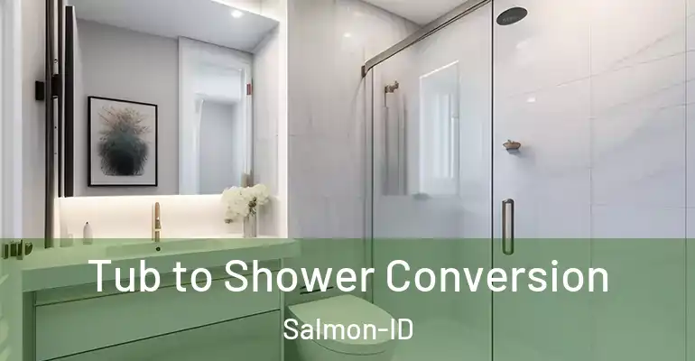 inner Bathroom imggen Tub to Shower Conversion Salmon-ID