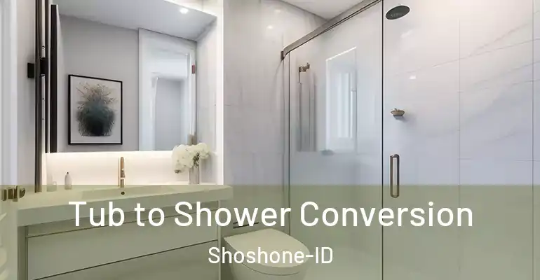 inner Bathroom imggen Tub to Shower Conversion Shoshone-ID
